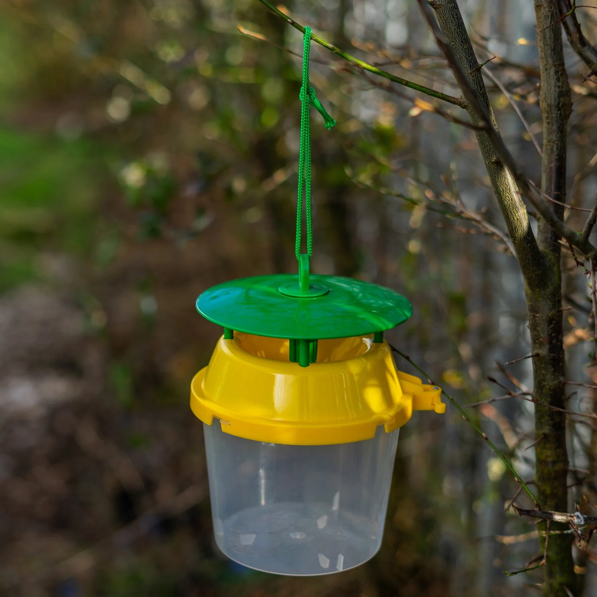 Woodside Box Tree Moth & Insect/Wasp Bucket Trap – 4 Pack, Reusable and Refillable Garden Catchers