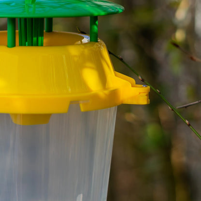 Woodside Box Tree Moth & Insect/Wasp Bucket Trap – 4 Pack, Reusable and Refillable Garden Catchers