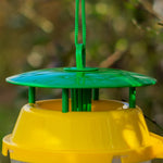 Woodside Box Tree Moth & Insect/Wasp Bucket Trap – 4 Pack, Reusable and Refillable Garden Catchers
