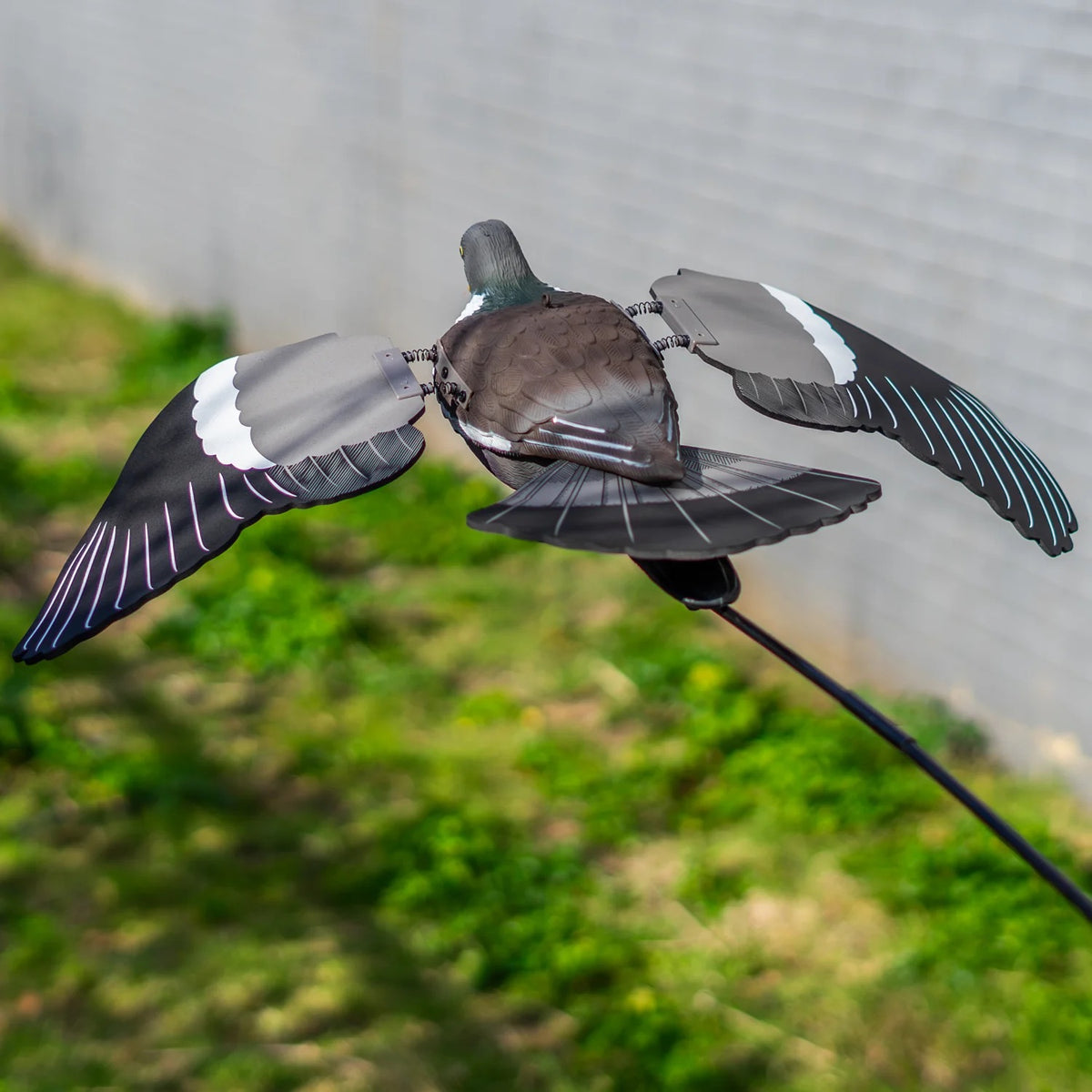 Nitehawk 6 x Full Body Painted Flying Pigeon Decoys – Realistic Moving Wings for Hunting, Shooting & Field Setups