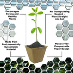 Woodside 320 Pack Compostable Plant Pots 8cm – Biodegradable Paper Seedling Pots for Seeds, Herbs, Flowers and Vegetable Growing