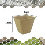 Woodside 320 Pack Compostable Plant Pots 8cm – Biodegradable Paper Seedling Pots for Seeds, Herbs, Flowers and Vegetable Growing