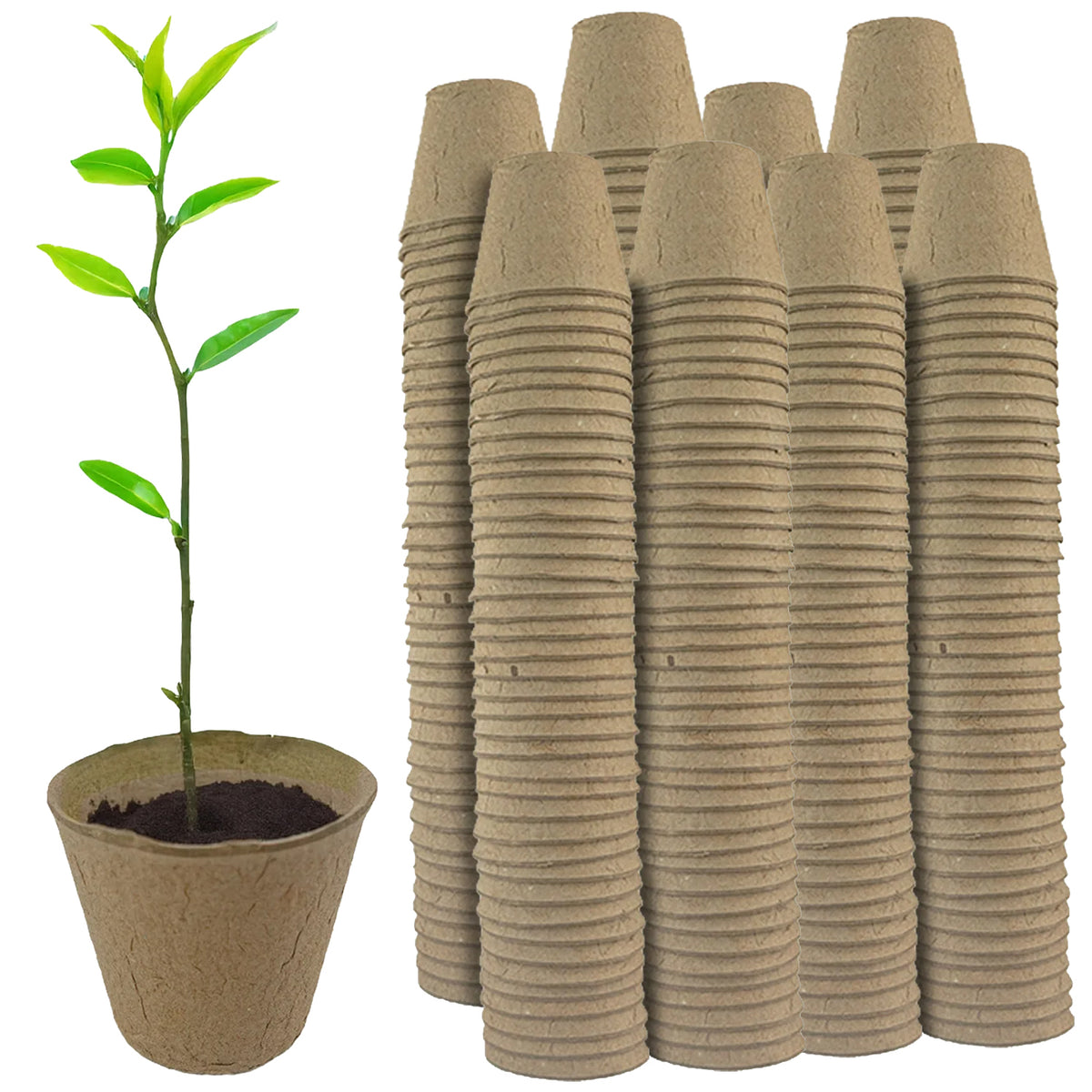 Woodside 320 Pack Compostable Plant Pots 8cm – Biodegradable Paper Seedling Pots for Eco-Friendly Garden Growing
