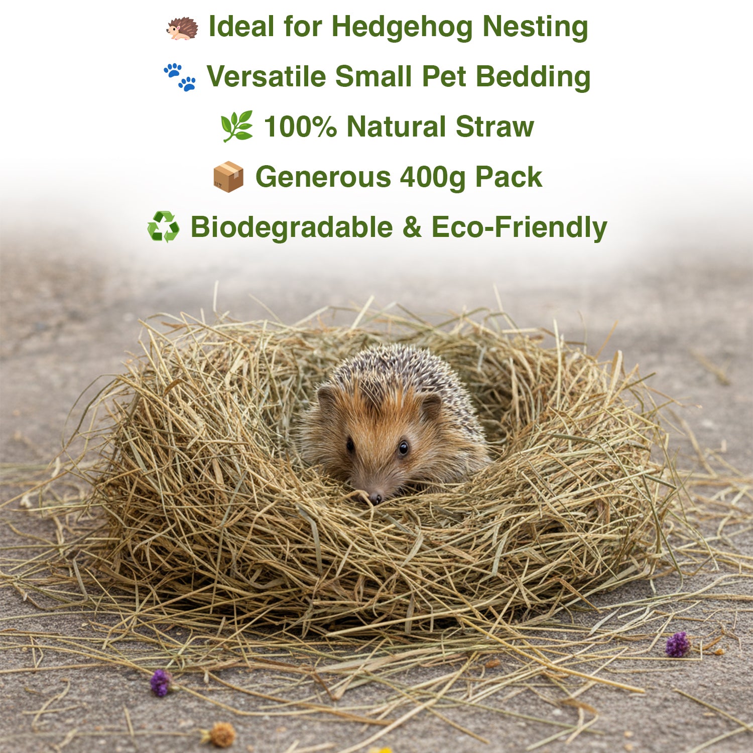 Hedgehog in a nest of straw with product features listed above