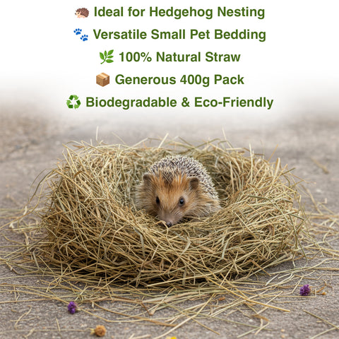 Hedgehog in a nest of straw with product features listed above