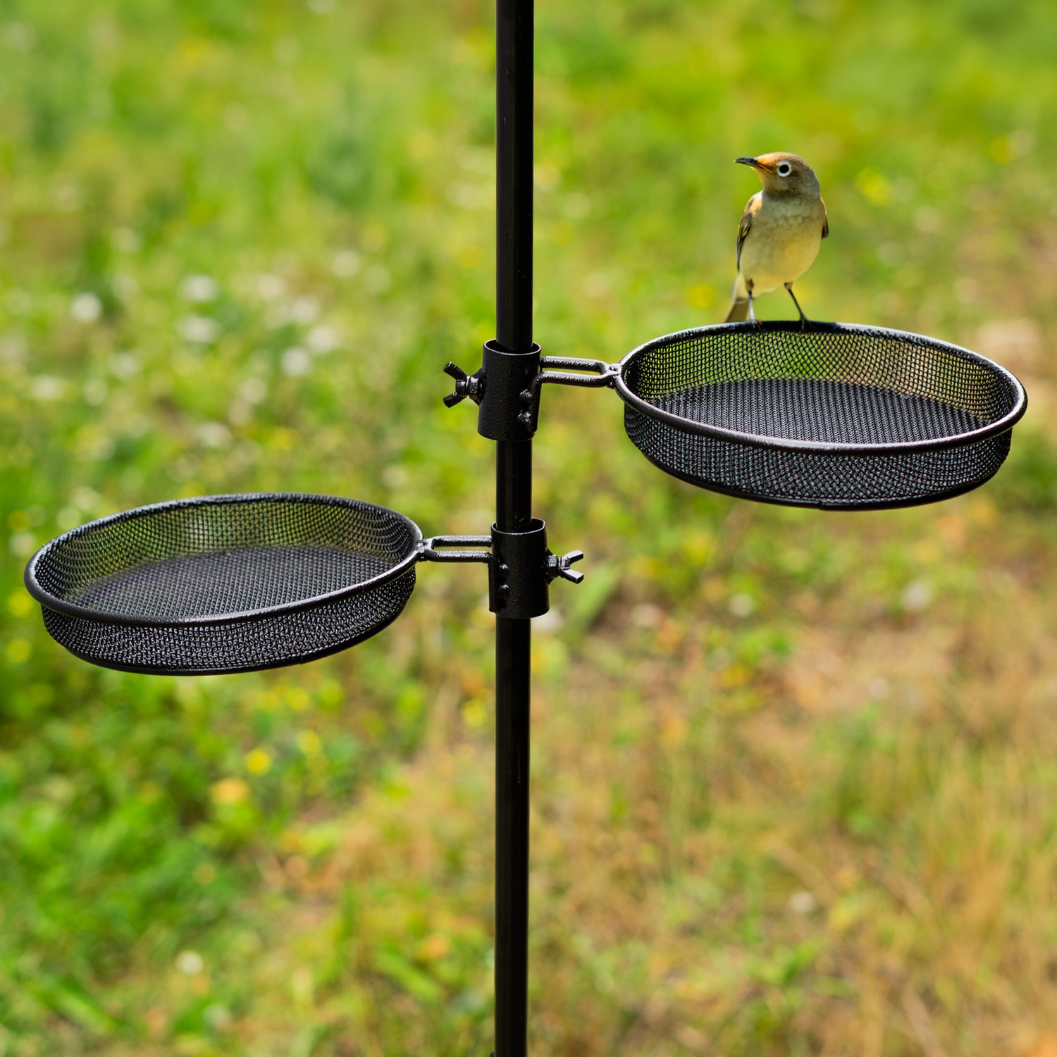 Woodside Mesh Bird Feeder Tray w/ Universal 22mm Pole Clamp Garden Seed/Nut Dish 2 Pack