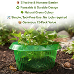 Pack of 12 Woodside 23cm reusable slug and snail protection collars, humane plant and flower guards.