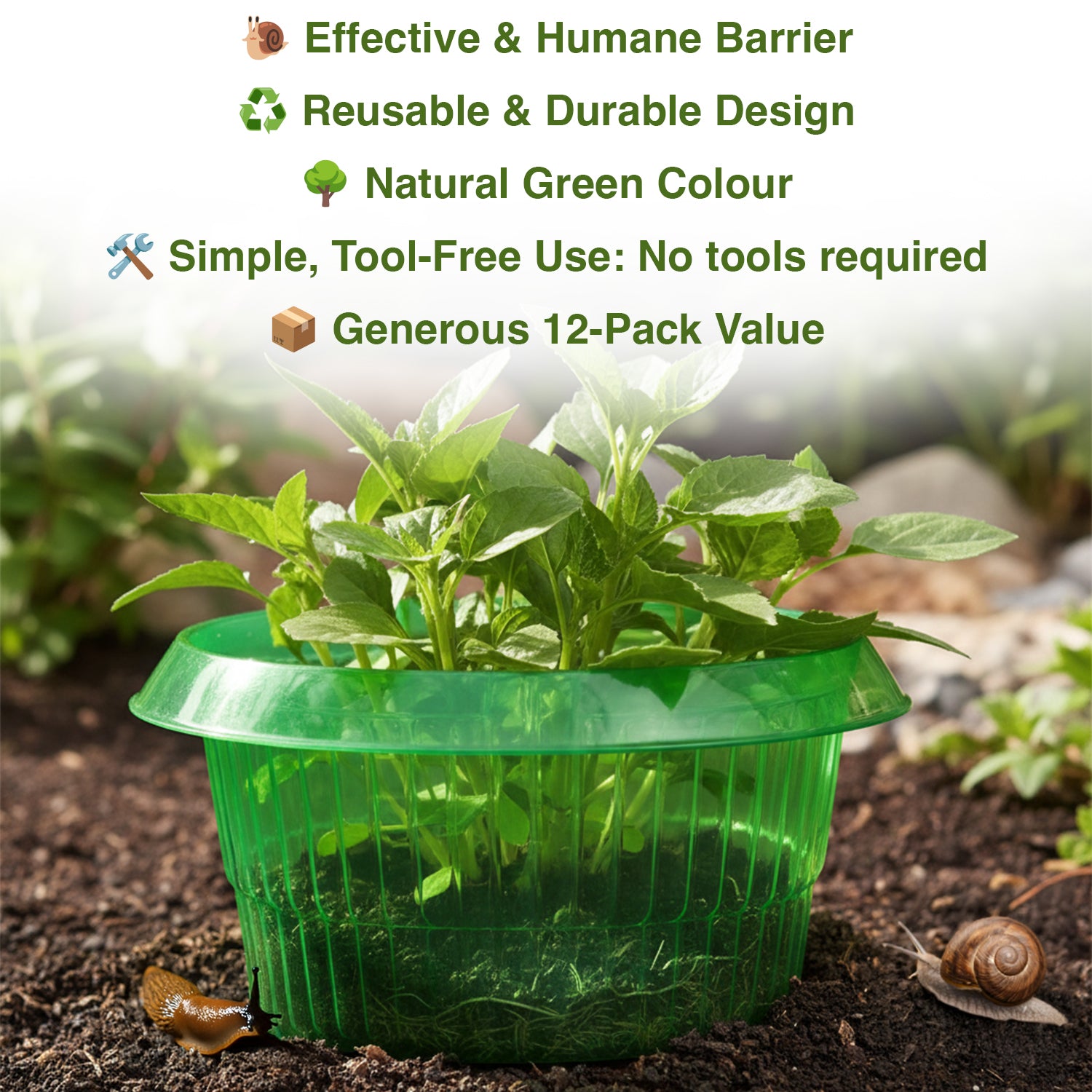 Pack of 12 Woodside 23cm reusable slug and snail protection collars, humane plant and flower guards.