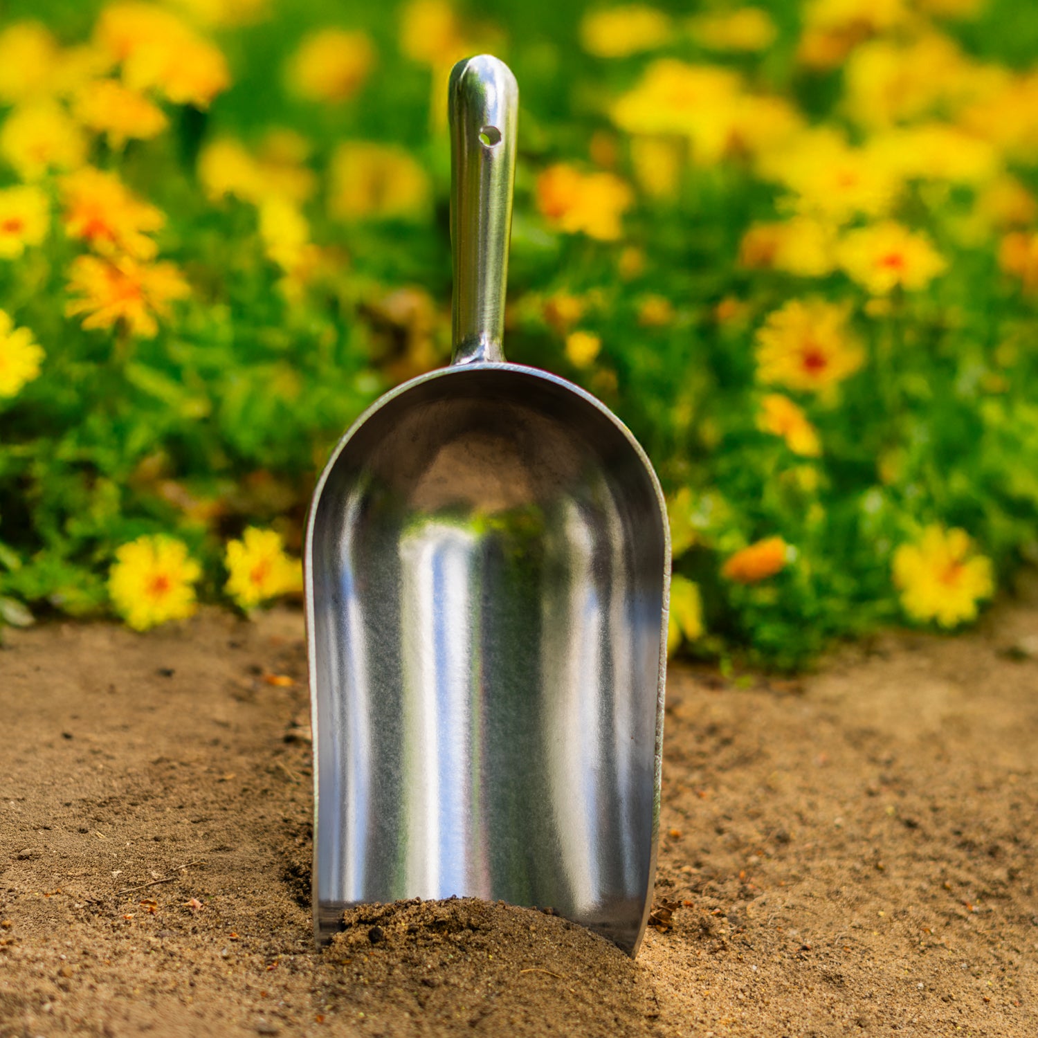 Woodside heavy-duty aluminium potting shovel, pet and bird feed scoop, and seed dispenser.