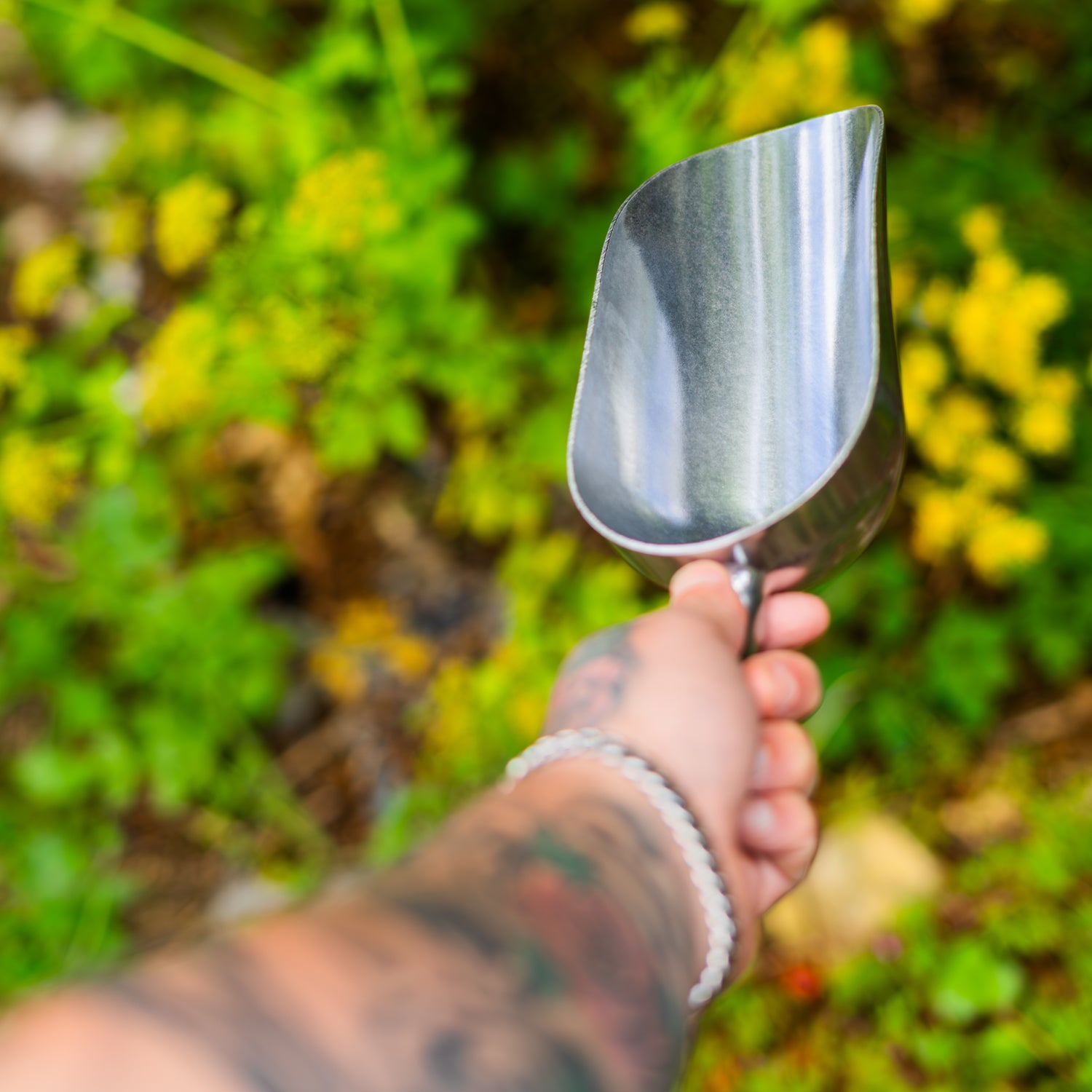 Woodside heavy-duty aluminium potting shovel, pet and bird feed scoop, and seed dispenser.