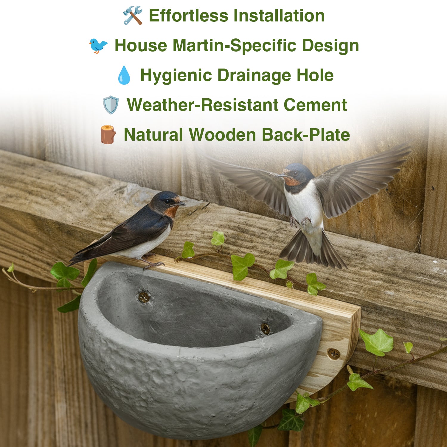Woodside House Martin Bird Nest Box Wall Mounted Durable Cement Garden Nesting Cup