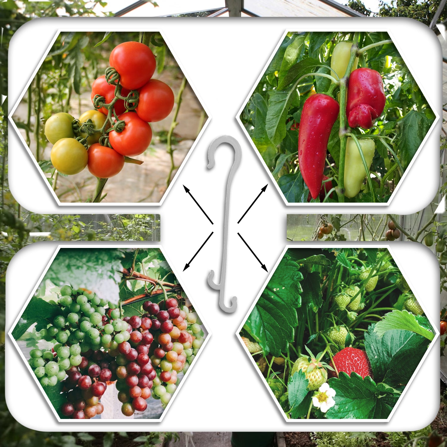 Woodside 130mm J Hook Plant Supports – 200 Pack – Flexible Tomato Hooks for Fruit & Veg Gardening