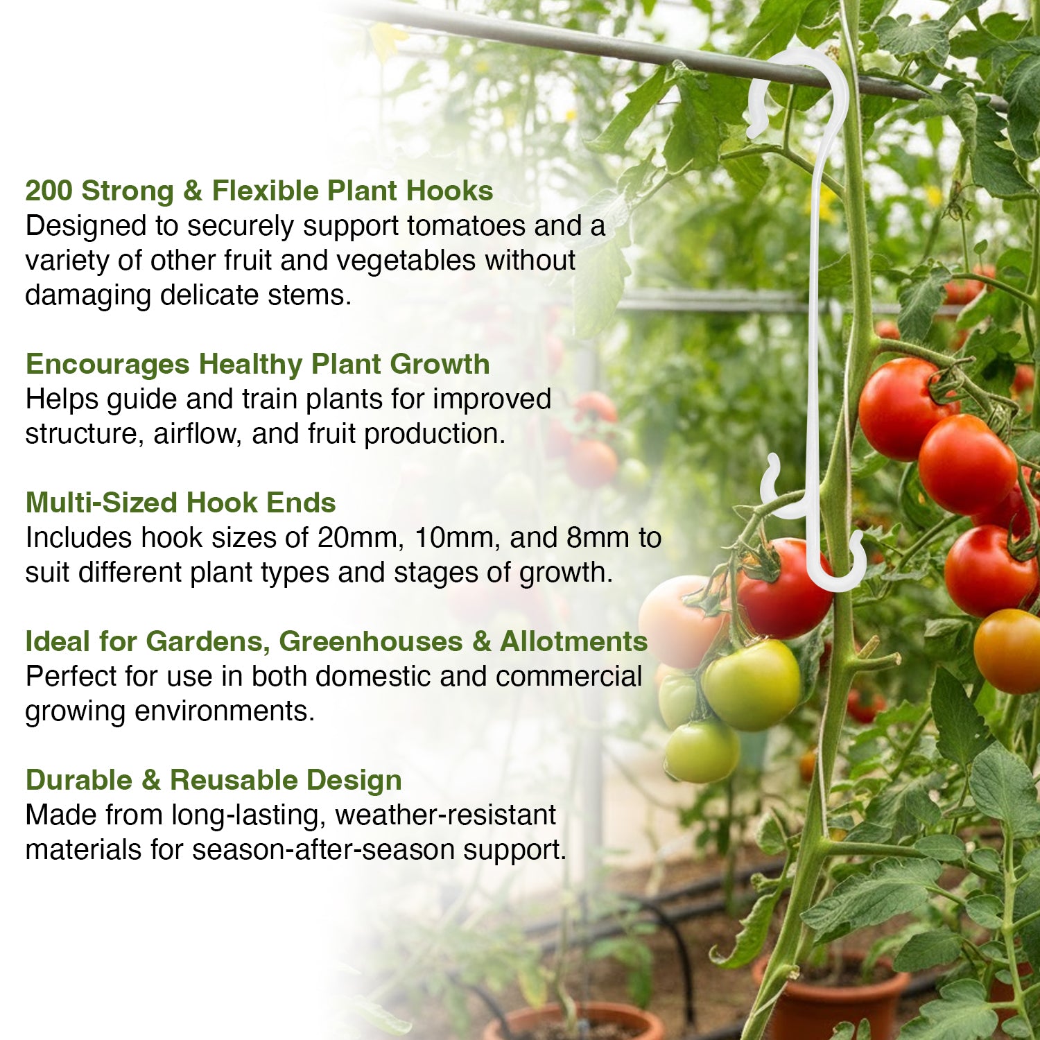 Tomatoes growing on a trellis with plant support hooks, text describing product features.