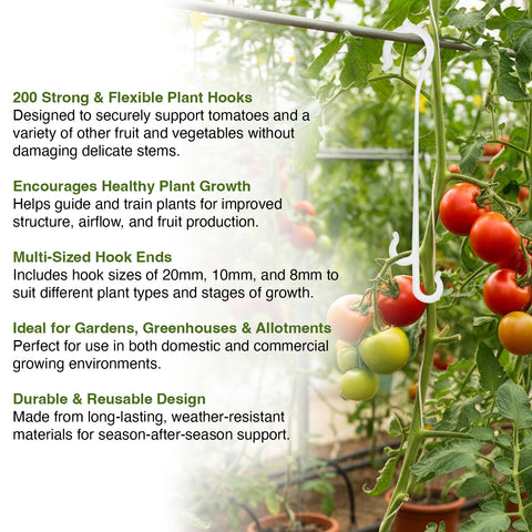Tomatoes growing on a trellis with plant support hooks, text describing product features.
