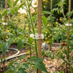 Woodside Tomato Plant Clips – 200 Pack | Garden Trellis & Cable Support Clips