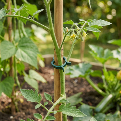 Woodside Tomato & Climbing Plant Support Clips Garden Ties for Canes & Trellis x 200