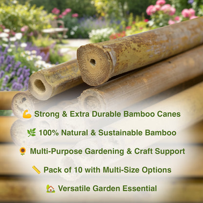 Woodside 2ft-6ft Garden Bamboo Canes Heavy Duty Plant Support Stakes/Sticks – 10 Pack
