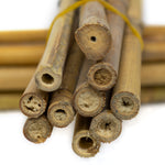 Woodside 2ft-6ft Garden Bamboo Canes Heavy Duty Plant Support Stakes/Sticks – 10 Pack