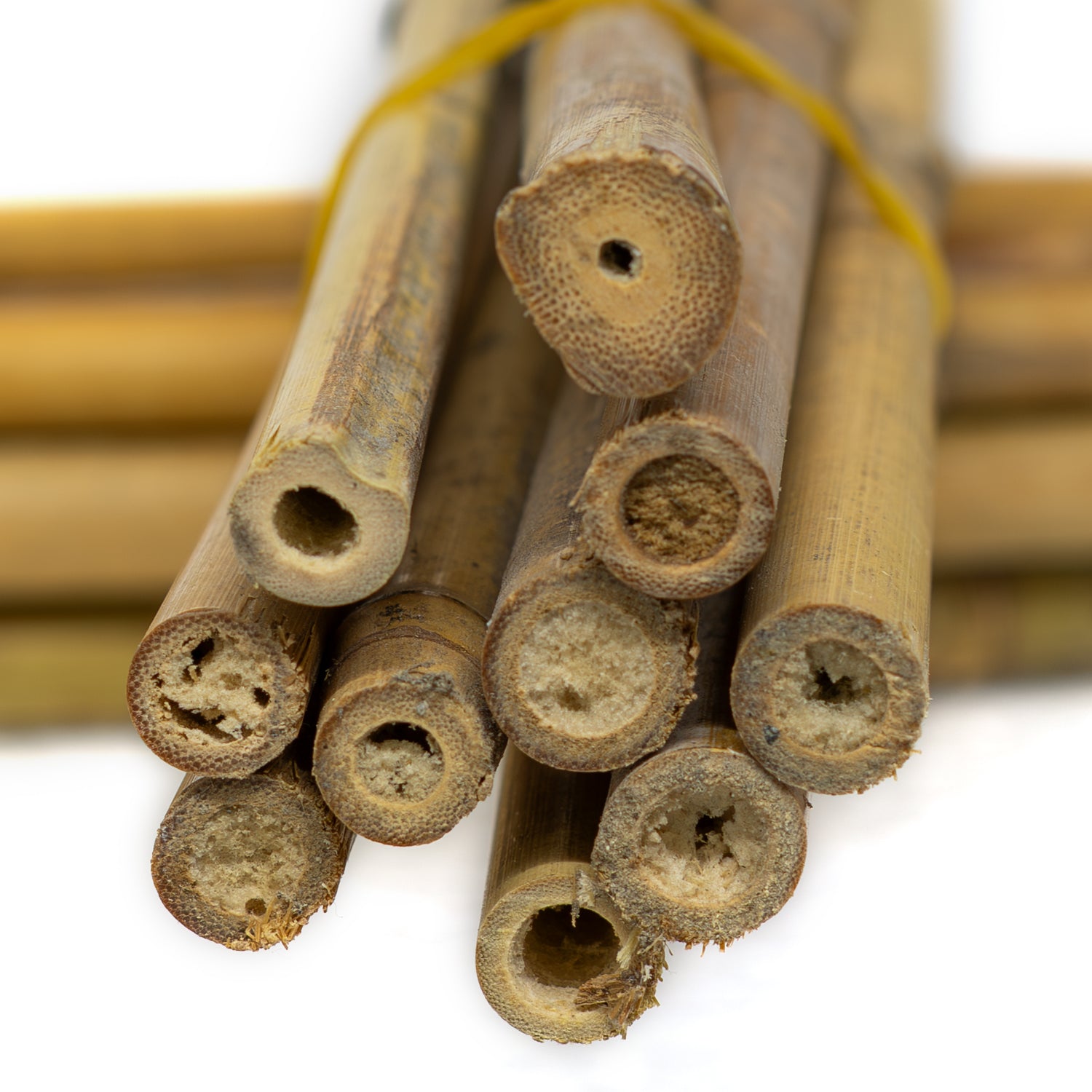 Woodside 2ft-6ft Garden Bamboo Canes Heavy Duty Plant Support Stakes/Sticks – 10 Pack