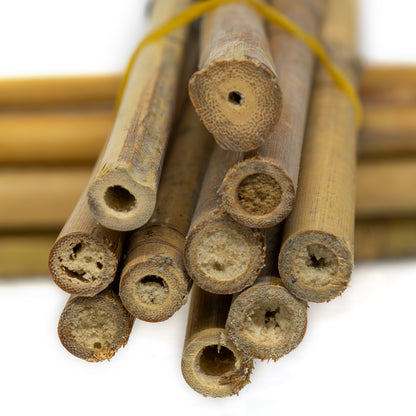 Woodside 2ft-6ft Garden Bamboo Canes Heavy Duty Plant Support Stakes/Sticks – 10 Pack