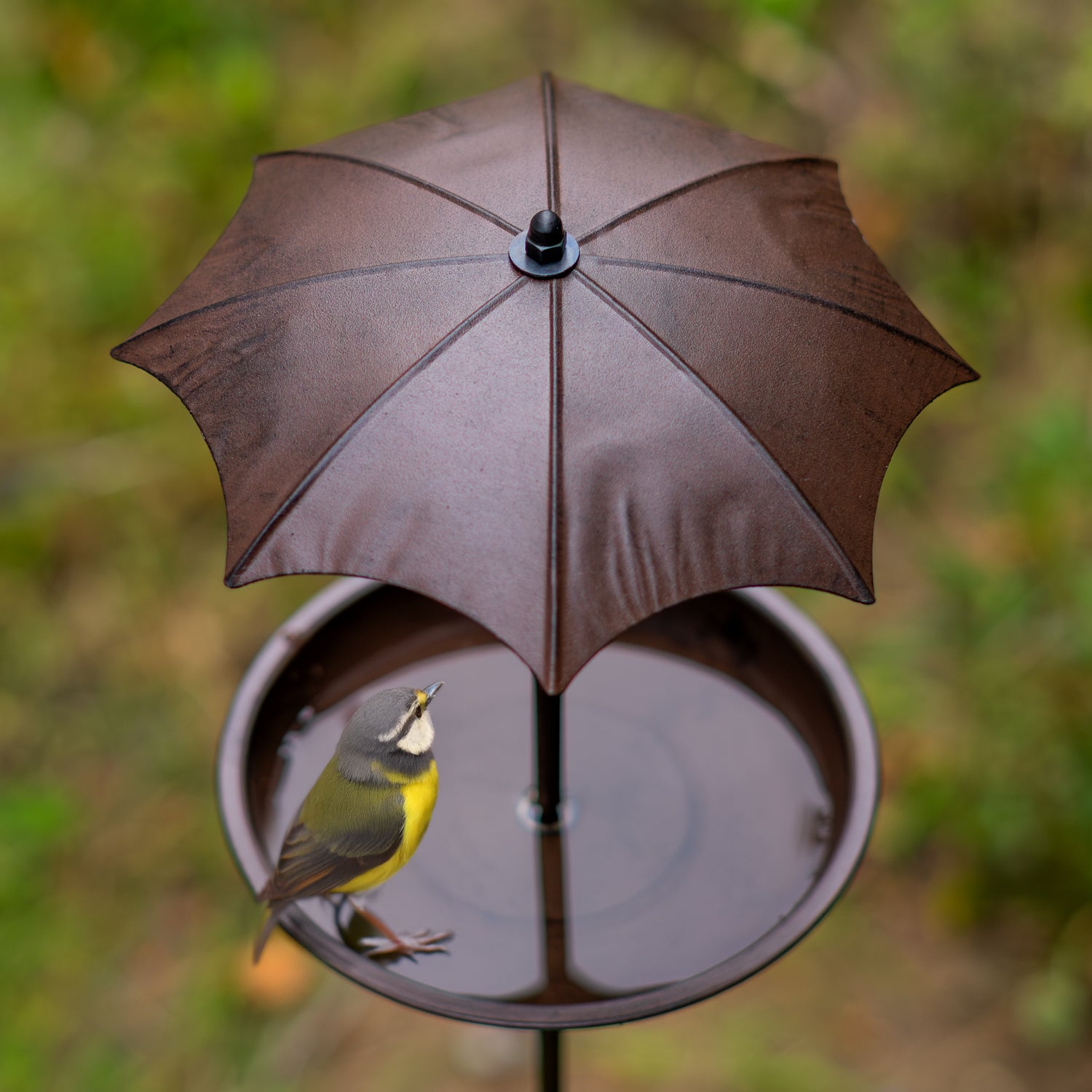 Woodside Cast Iron Bird Feeder Bath with Ground Stake & Umbrella – Seeds, Fat Balls, Nuts