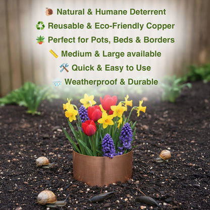 Woodside Copper Slug Snail Repellent Rings – Humane Plant Protection, Reusable - 6 Pack
