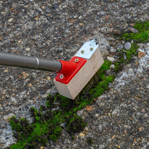 Moss removal tool with a red handle and beige brush head cleaning moss from concrete.