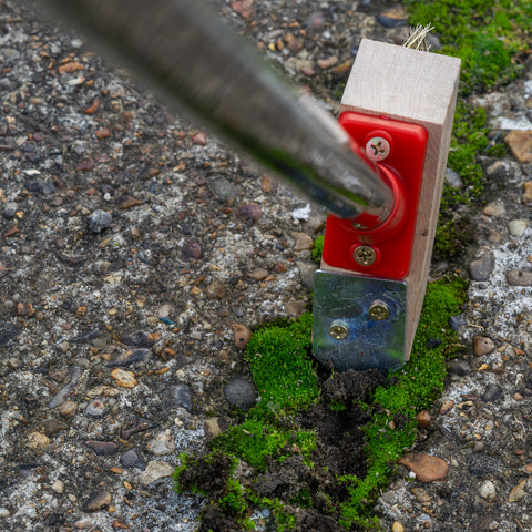 Moss removal tool with a red handle and metal head scraping moss from concrete.