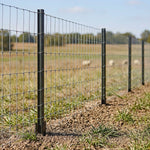 Woodside 10 Pack 5ft Metal Fence Posts | Heavy Duty Black Steel Fence Stakes with Hooks