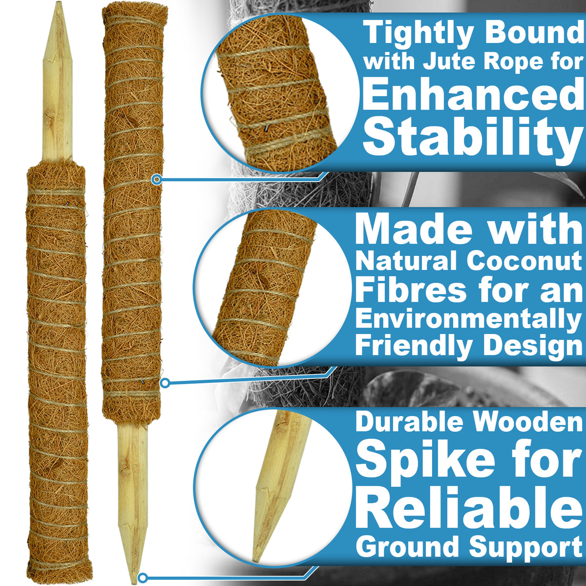 Woodside Moss Pole Plant Supports 4 Pack | Coco Coir Climbing Poles