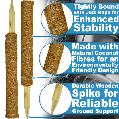 Woodside Moss Pole Plant Supports 12 Pack | Coco Coir Climbing Poles