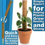 Woodside Moss Pole Plant Supports 4 Pack | Coco Coir Climbing Poles
