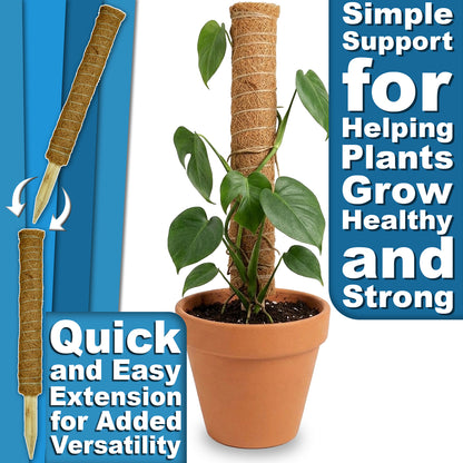 Woodside Moss Pole Plant Supports 8 Pack | Coco Coir Climbing Poles