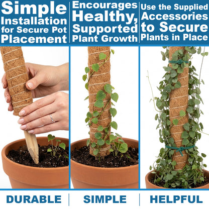 Woodside Moss Pole Plant Supports 4 Pack | Coco Coir Climbing Poles