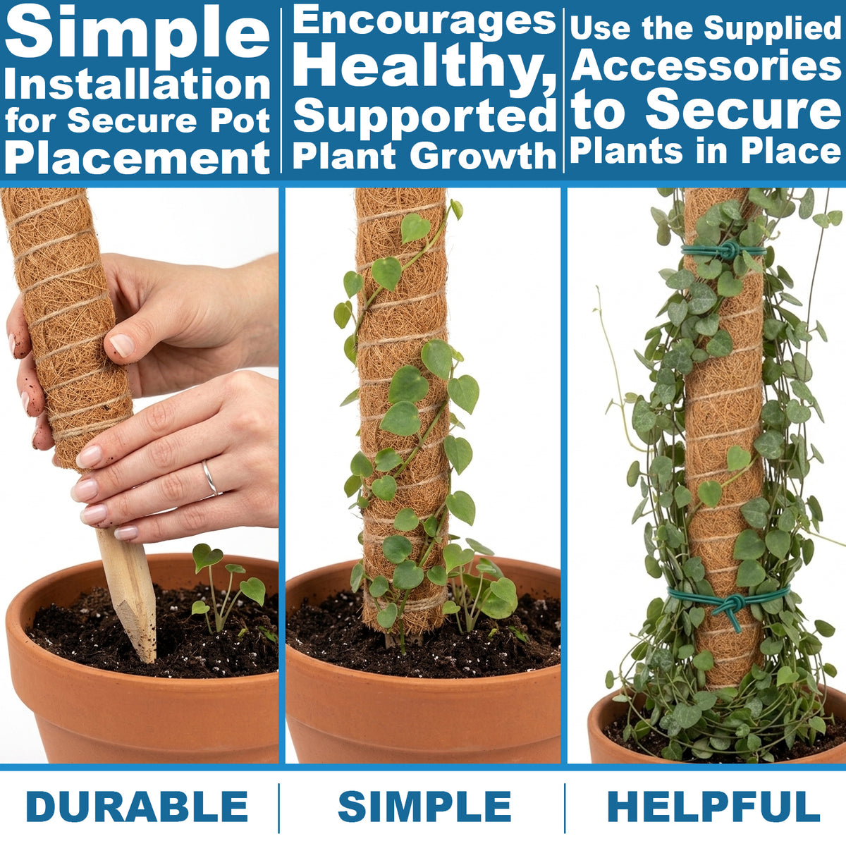 Woodside Moss Pole Plant Supports 8 Pack | Coco Coir Climbing Poles