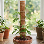 Woodside Moss Pole Plant Supports 4 Pack | Coco Coir Climbing Poles