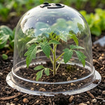 Woodside Garden Plant Bell Cloche 10 Pack | Plant Protection Covers with Adjustable Vent & Grounding Spikes