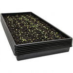 Woodside 6 Pack Large Growbag Trays | 100cm x 40cm Heavy Duty Plastic Plant Growing Trays for Garden Vegetables
