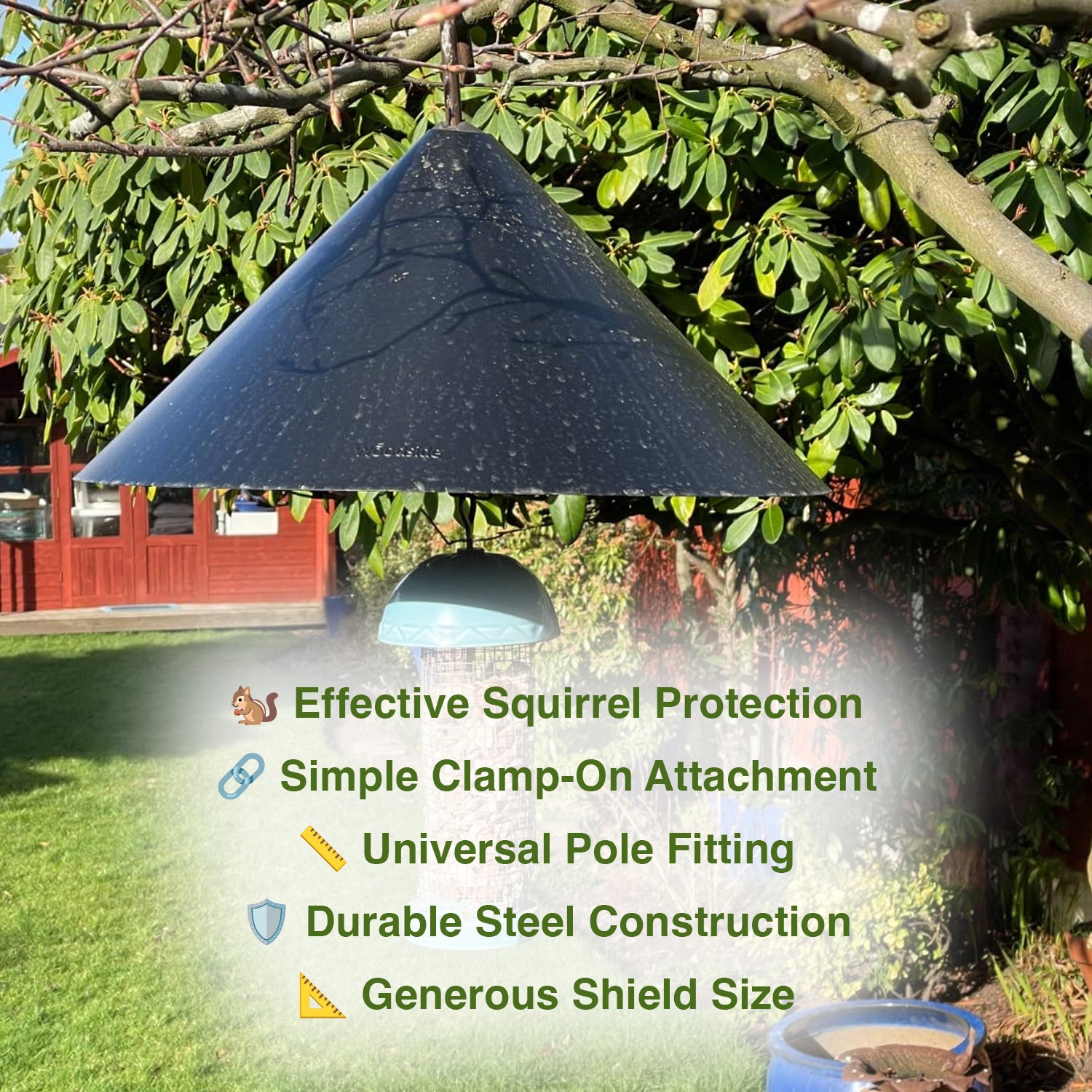 Black bird feeder with squirrel protection features on a tree branch