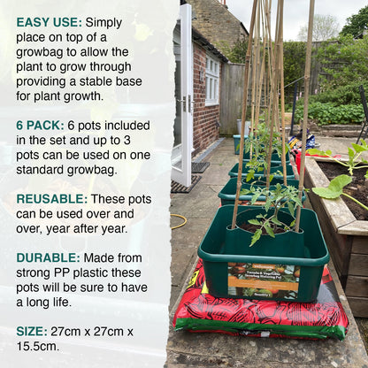 Woodside Tomato & Vegetable Growbag Watering Pots (pack of 6)