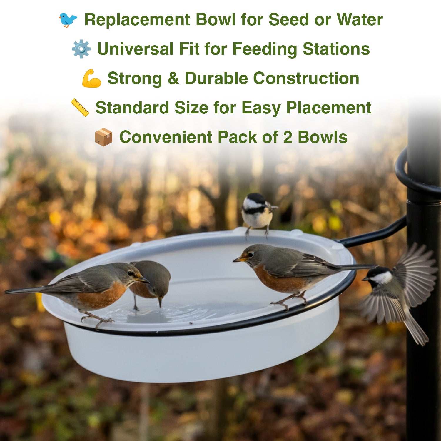 Bird feeder with birds on a blurred natural background