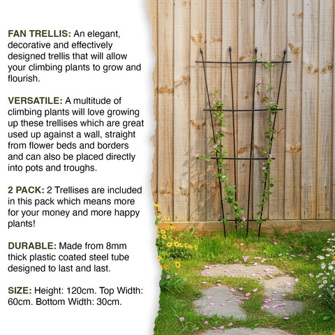 Woodside 1.2m Metal Garden Fan Trellis, Decorative Plant/Flower Pot Support, Pack of 2