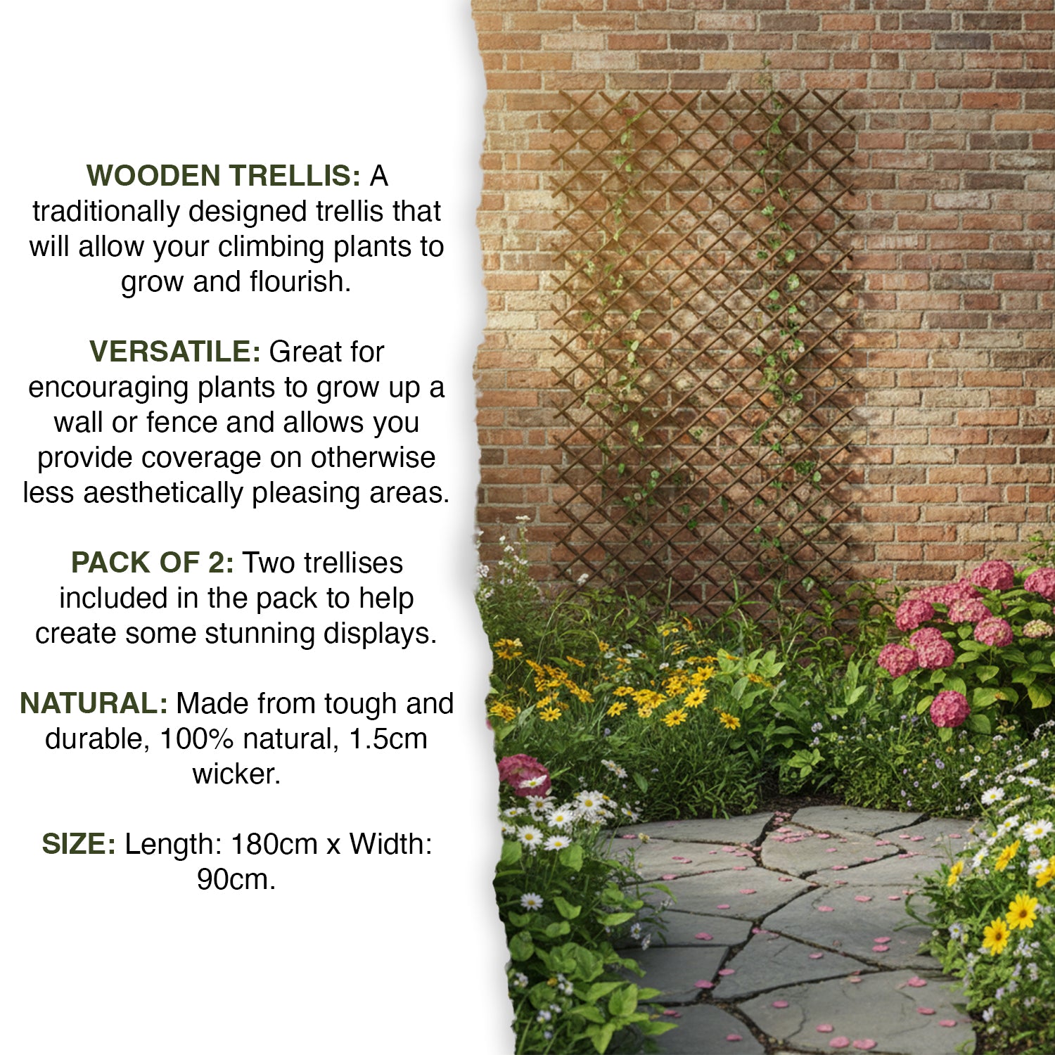 Woodside Expanding 180 x 90cm Willow Fan Wall Trellis - 2 Pack