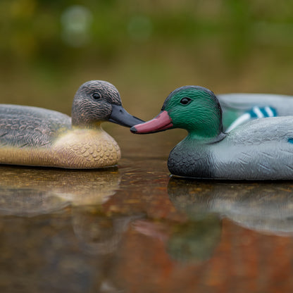 FLOATING 14" MALE & FEMALE DUCK DECOYS HUNTING SHOOTING FAKE BIRD MALLARD DRAKE