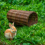 Woodside Rabbit/Guinea Pig Wicker Tunnel, Wooden Pet Play Hide for Small Animals