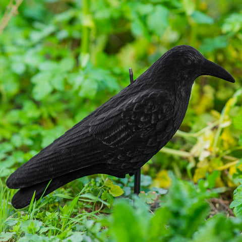 6 x Nitehawk Full Body Flocked Shooting/Hunting Crow Decoy With Feet And Stake