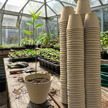 Woodside 160 Pack 6cm Compostable Paper Plant Pots – Eco Friendly Biodegradable Seedling Growing Pots