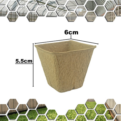 Woodside 160 Pack 6cm Compostable Paper Plant Pots – Eco Friendly Biodegradable Seedling Growing Pots