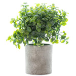 Woodside Pack of 3 Mini Potted Artificial Indoor Home & Office Plants