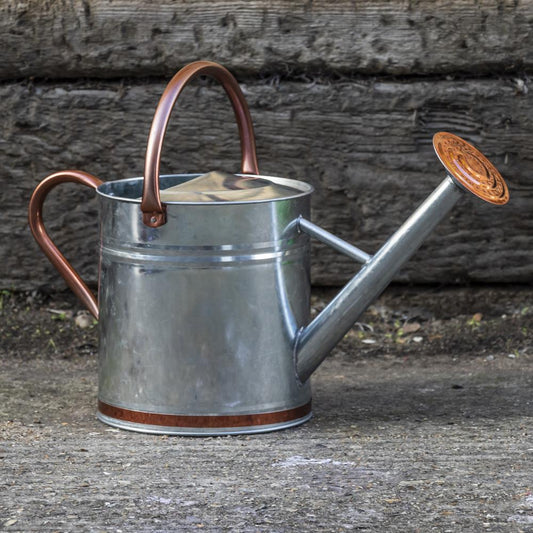 Woodside 9L Metal Garden and Plant Watering Can with Rose